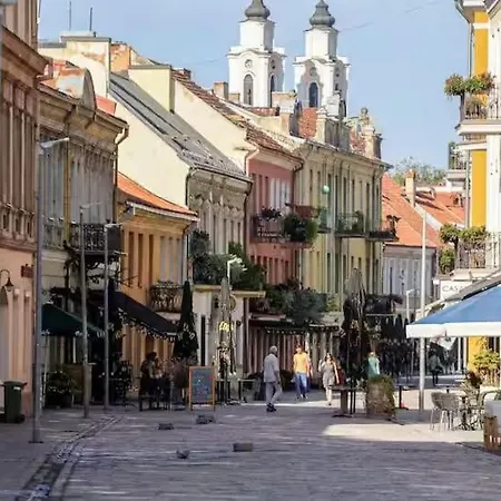 Old Town Apartment
